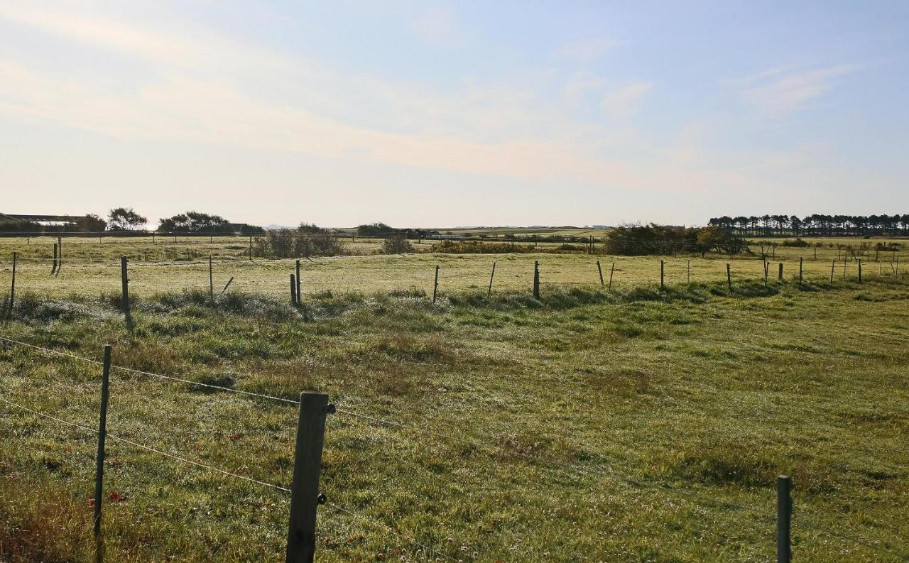 Kleine Perle Auf Amrum Norddorf Exterior foto